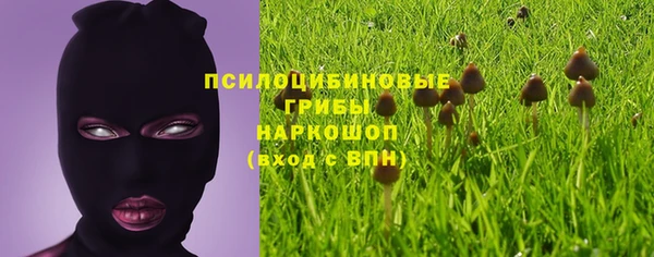 бошки Медногорск