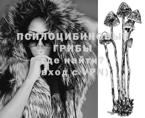 бошки Медногорск