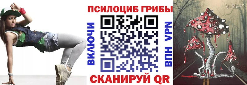 Галлюциногенные грибы Psilocybine cubensis Чулым
